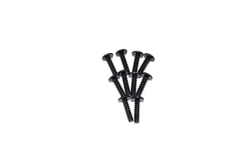 Cap Head Self-Tapping Screw (10)