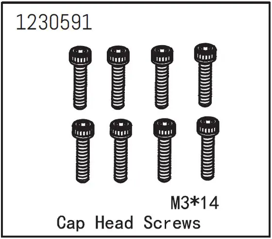 Cap Head Screw M3*14 (8)