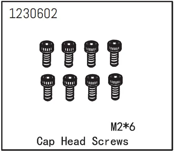Cap Head Screw M2*6 (8)
