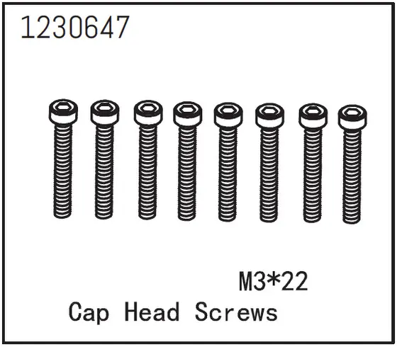 Cap Head Screws M3*22 (8)