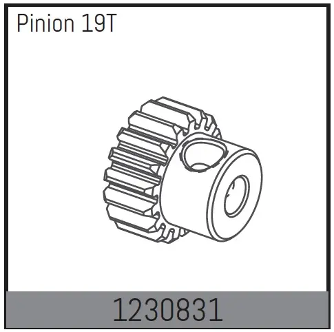 Motor Pinion 19t
