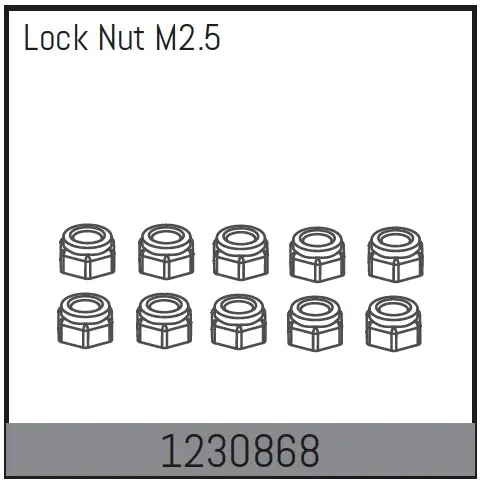 Lock Nut m2.5 (10)