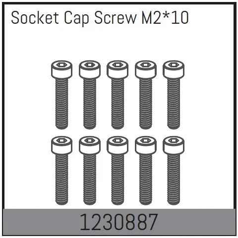 M2*10 Socket Cap Screw Set (10)