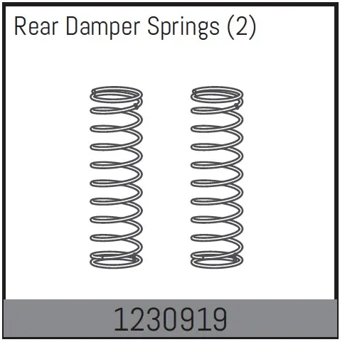 Rear Damper Spring (2)
