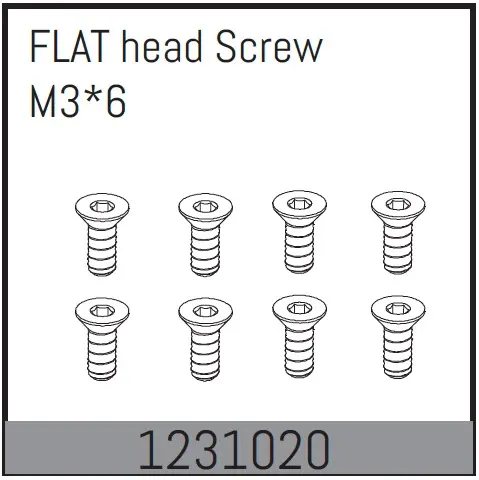 Flat Head Screws M3*6 (8)