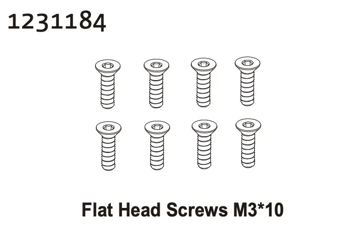 Flat Head Screw M3*10 (8)