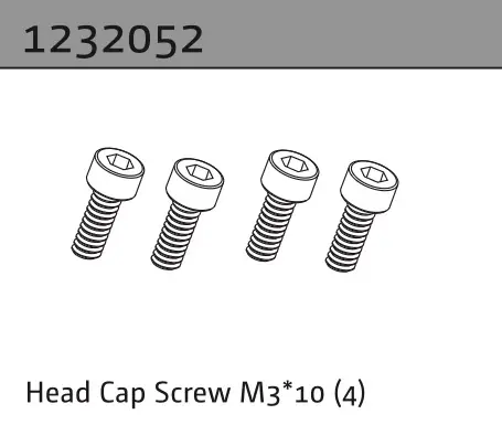 Head Cap Screw M3*10 (4)