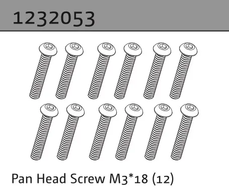 Pan Head Screw M3*18 (10)