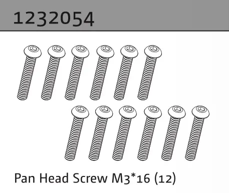 Pan Head Screw M3*16 (10)
