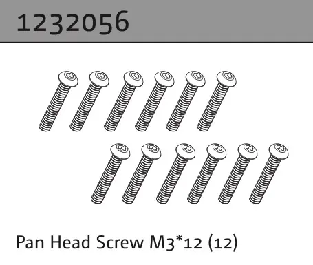 Pan Head Screw M3*12 (22)