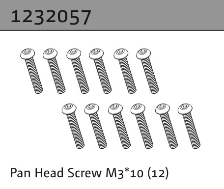 Pan Head Screw M3*10 (12)