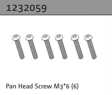Pan Head Screw M3*6 (6)