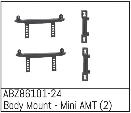 Body Mount - Mini Amt (2)