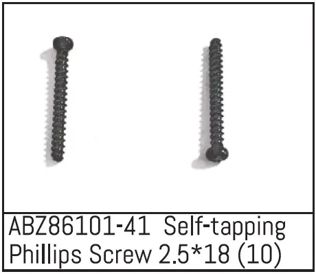 Self-Tapping Phillips Screw 2.5*18 - Mini Amt (10)