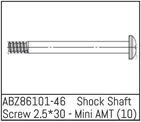 Shock Shaft Screw 2.5*30 - Mini Amt (10)