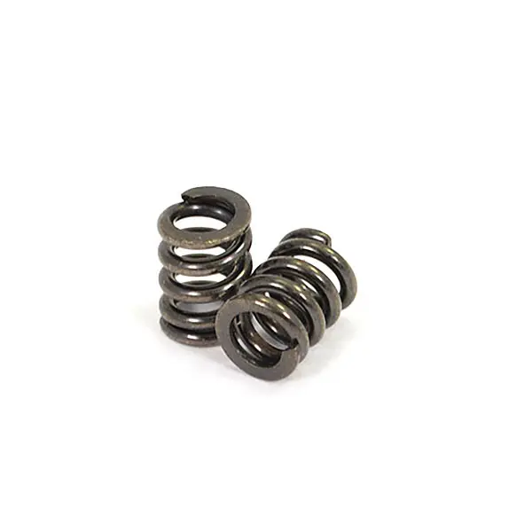 FTX Outback Hi-Rock Slipper Spring (2)
